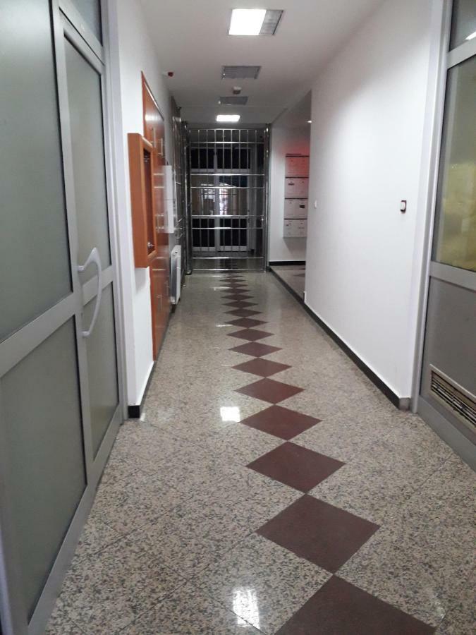 Apartman Dunja Ns 2 Нови-Сад Экстерьер фото